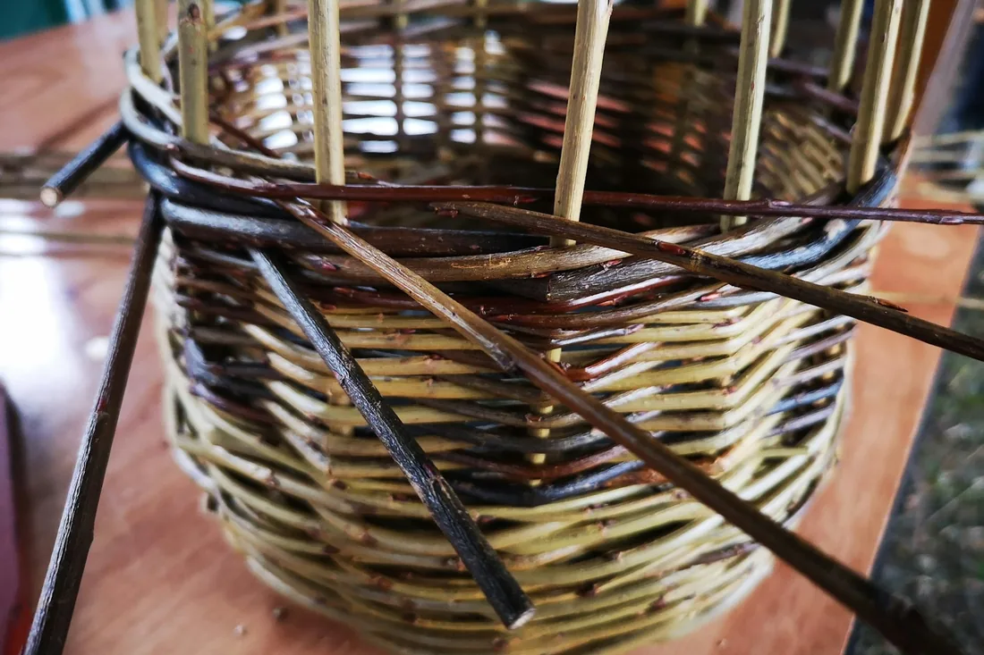 Cesta de mimbre a medio tejer sobre la mesa del taller, con los montantes verticales todavía sin rematar